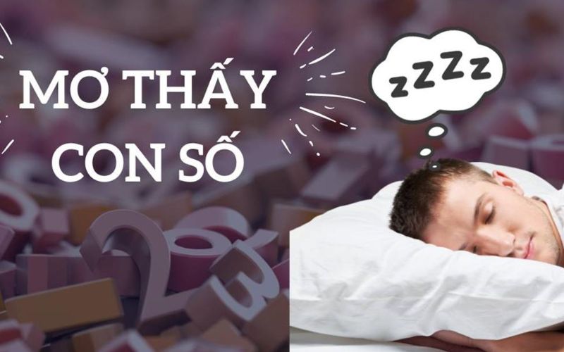 Kinh nghiệm sổ mơ